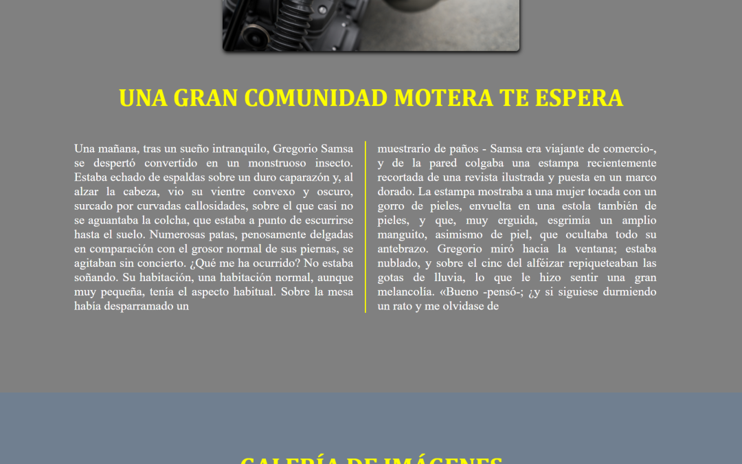 Desarrollo Web Moteros