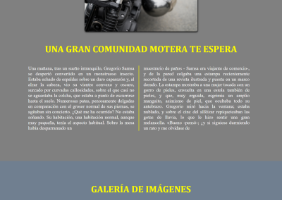 Desarrollo Web Moteros