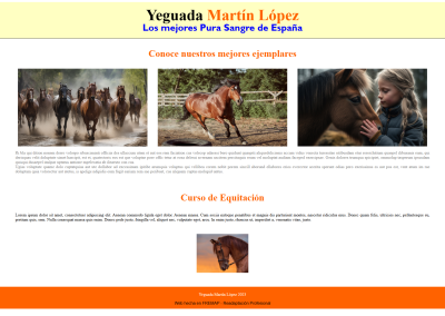 Desarrollo Web Caballos