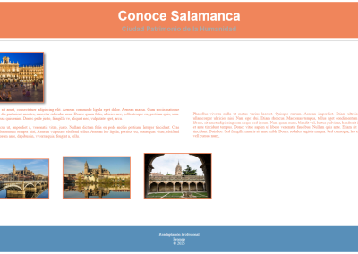 Desarrollo Web Salamanca